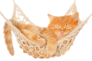 how to make a macrame cat hammock