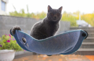 how to make a cat hammock bed